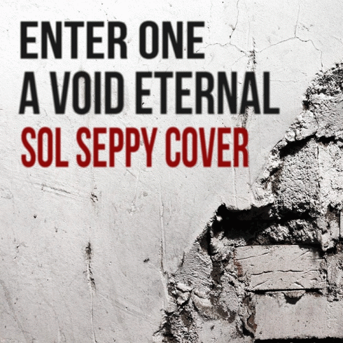 A Void Eternal : Enter One (Sol Seppy Cover)